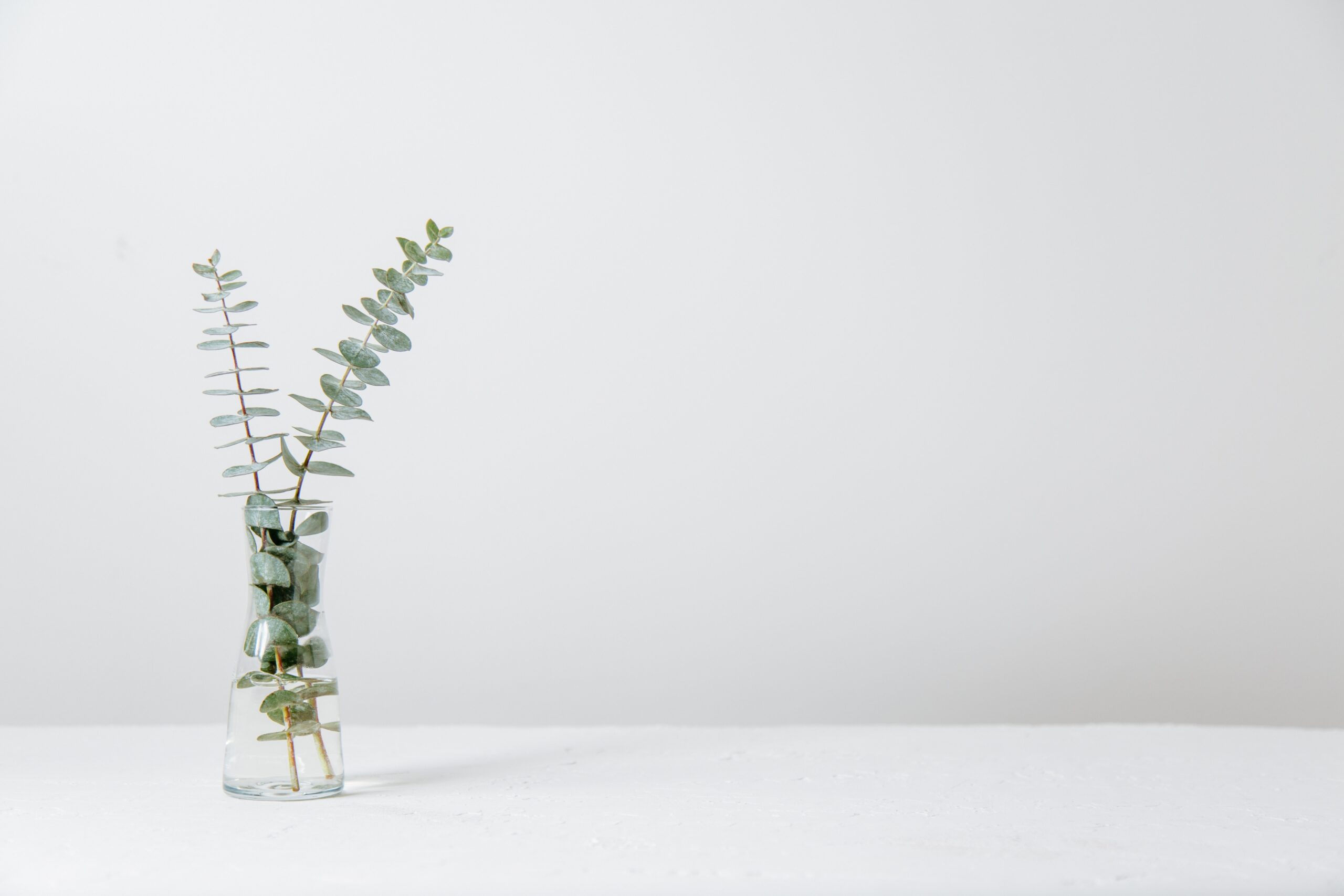 tim-chow-9IcKPSQ9G5Q-unsplash-1