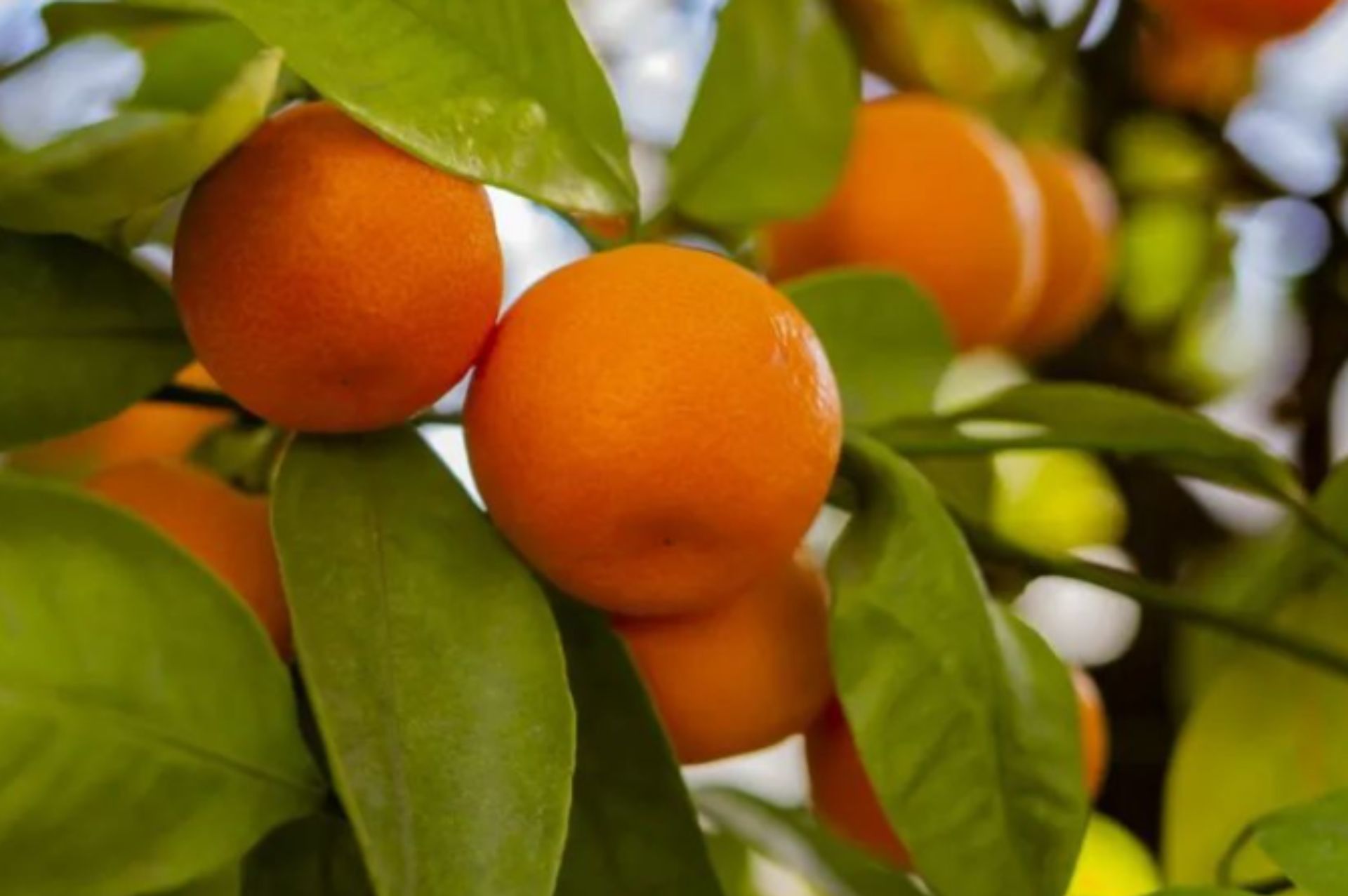 xr:d:DAF2uoAshzM:66,j:9164116738484619832,t:24020206