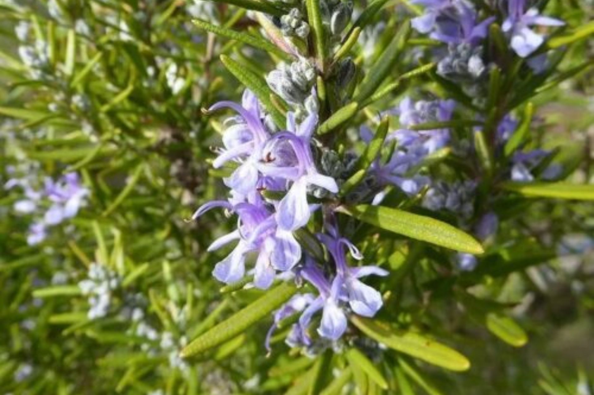 xr:d:DAF2uoAshzM:25,j:5950793145250835983,t:23121306 xr:d:DAF2uoAshzM:25,j:5950793145250835983,t:23121306